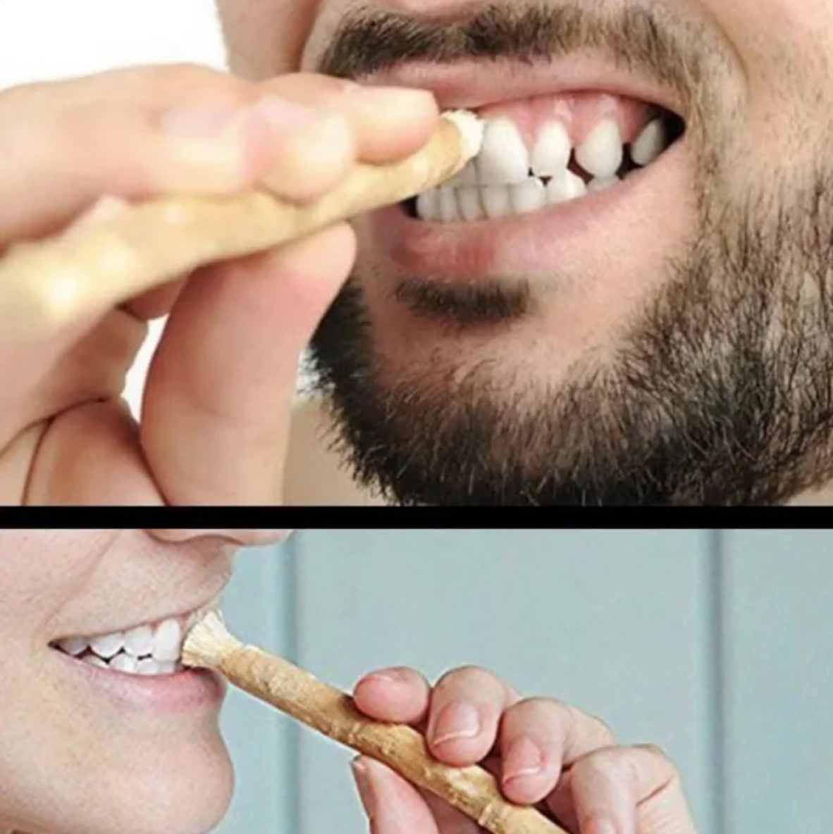 Bâtonnet de nettoyage dentaire Miswak
